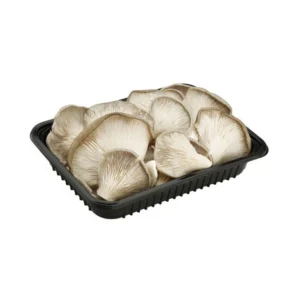bandeja-setas