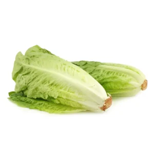 lechuga-romana