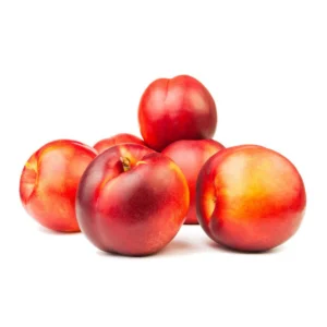 nectarina