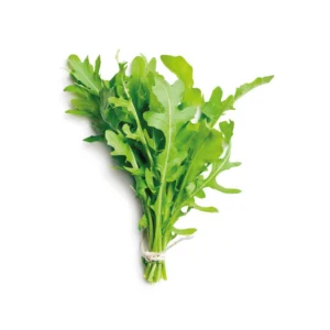 rucula